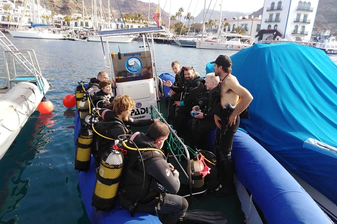 2 Dive Package for PADI Qualified Divers in Gran Canaria - A morning with real structure, not a rushed photo stop
