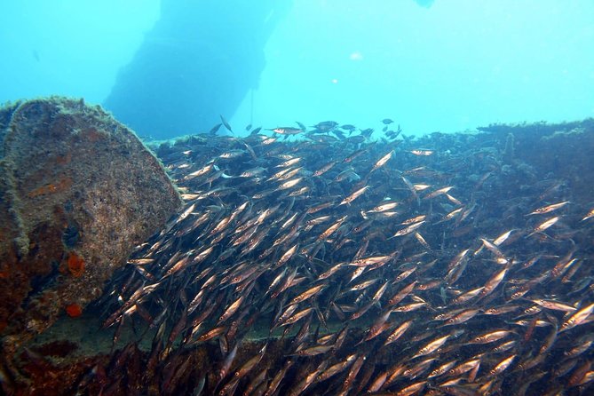 2 Dive Package for PADI Qualified Divers in Gran Canaria - What the first hour involves