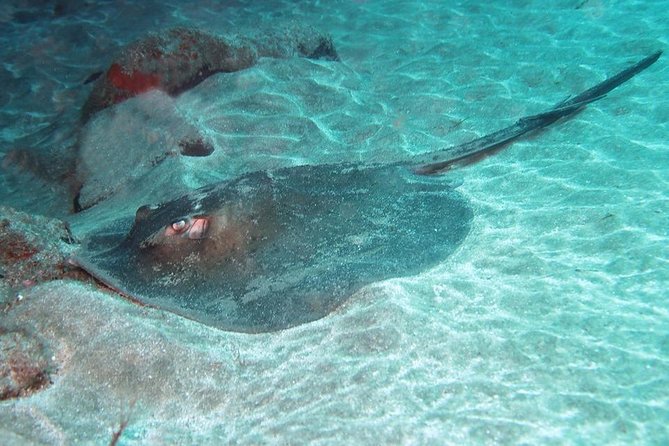 2 Dive Package for Qualified Divers in Gran Canaria - Key points to know before booking