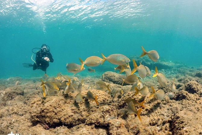 2 Dive Package for Qualified Divers in Gran Canaria - Starting from Playa del Inglés at 8:00