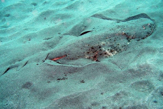 2 Dive Package for Qualified Divers in Gran Canaria - What the $108.61 price includes