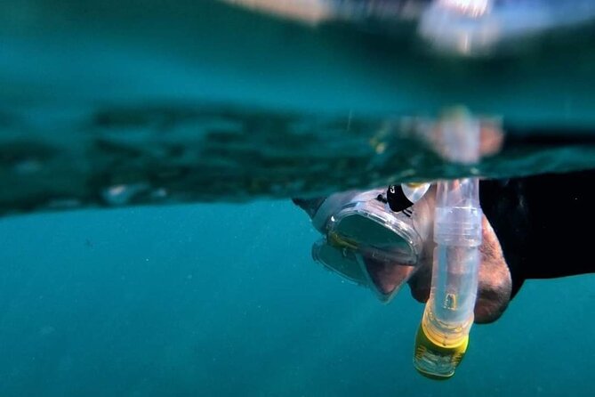2-Hour Afternoon Snorkeling Experience in Gran Canaria by Boat - Leaving the harbour at 2:30 pm