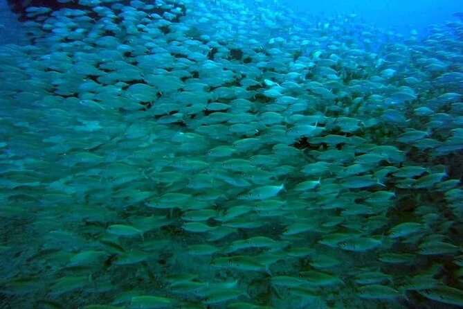 2-Hour Afternoon Snorkeling Experience in Gran Canaria by Boat - A small group with a personal feel
