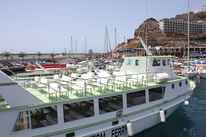 2-Hour Dolphin and Whale Watching in Gran Canaria - My practical advice before you book