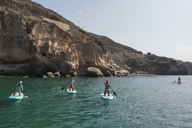 2 Hour Stand Up Paddle Lesson in Gran Canaria - Is the $64.71 price good value?