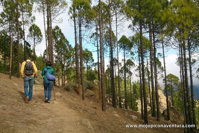 3-Hour Hiking Experience in Roque Nublo - Four road stops that add value to the outing