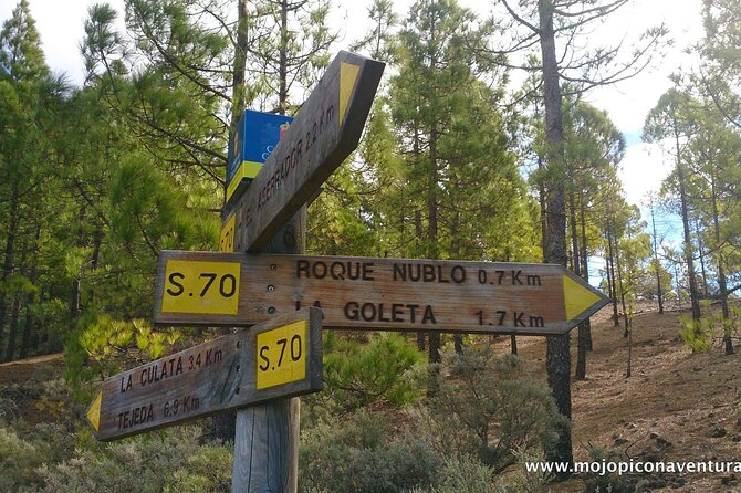 3-Hour Hiking Experience in Roque Nublo - What is included for the $80.32 price