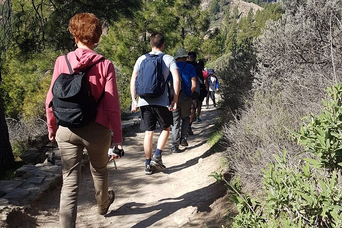 3-Hour Hiking Experience in Roque Nublo - Practical tips for a smoother day