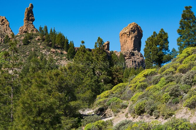 3-Hour Hiking Experience in Roque Nublo - The walk to the base of Roque Nublo