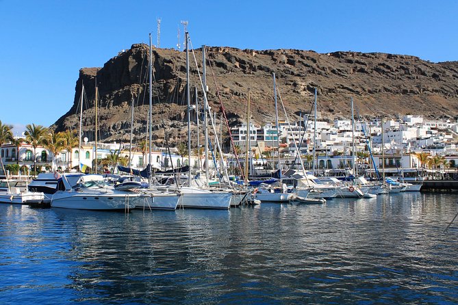 3h Boat Trip + Snorkeling in Puerto de Mogan - Who will enjoy this most