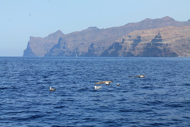 3h Boat Trip + Snorkeling in Puerto de Mogan - Timing, meeting point, and booking notes