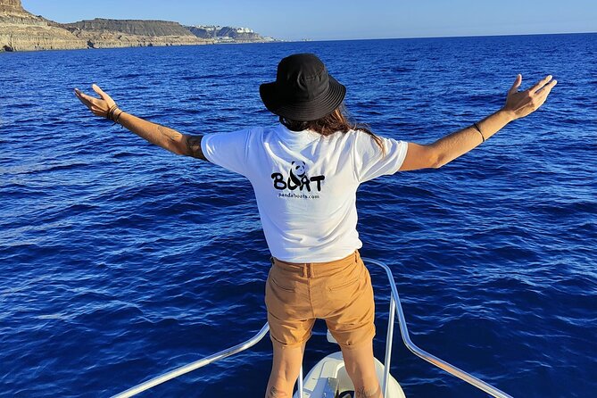 4 Hour Boat Tour with Snorkeling from Puerto Rico and Mogan - Lunch, drinks, and the real value of the fare