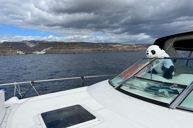 4 Hour Boat Tour with Snorkeling from Puerto Rico and Mogan - Extra water activities cost more