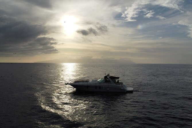 4 Hour Boat Tour with Snorkeling from Puerto Rico and Mogan - Access, weather, and practical comfort
