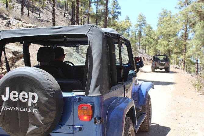Adventure Driving Jeep Tour in Gran Canaria - Key points to know before booking