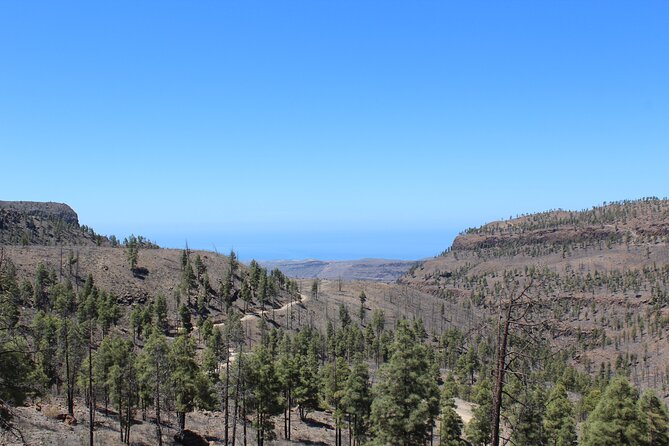 Adventure Driving Jeep Tour in Gran Canaria - Arguineguín, from fishing village to growing coastal town