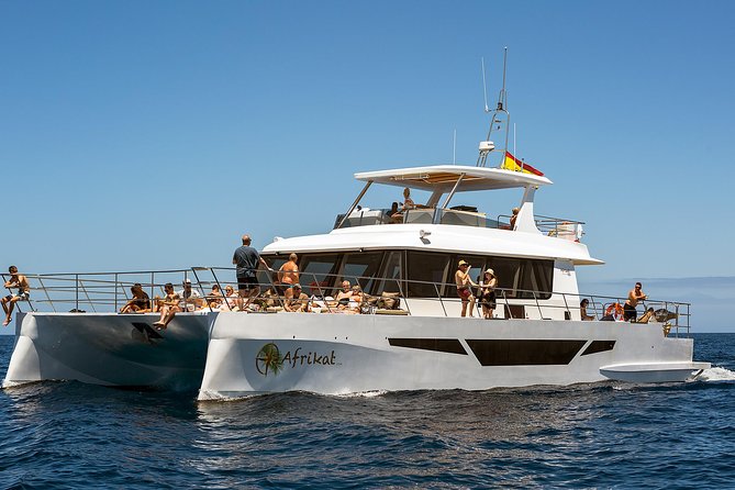 Afrikat Afternoon Cruise - Who will enjoy the Afrikat cruise most?