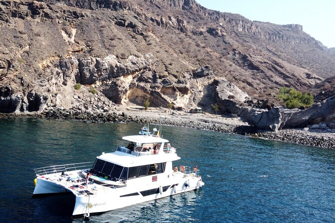 Afrikat Morning Cruise - Key points to know before booking