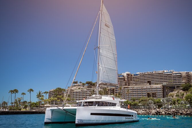 Afternoon Catamaran Trip in Gran Canaria - Key points to know before you book