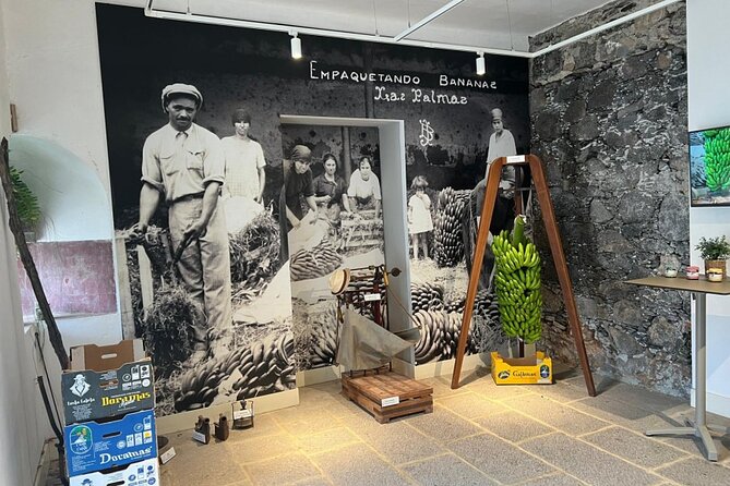 Banana Museum, Rum Distillery & Winery with Tasting: Premium tour - One free hour in Agaete