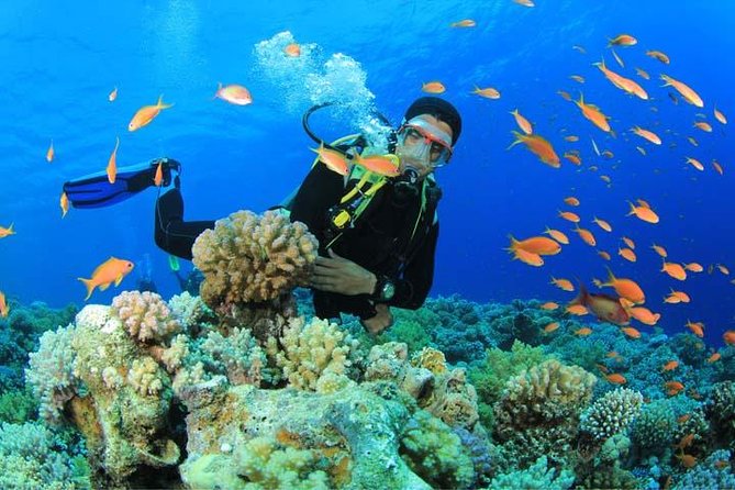 Beginners Scuba Diving Experience in Gran Canaria - Key points at a glance