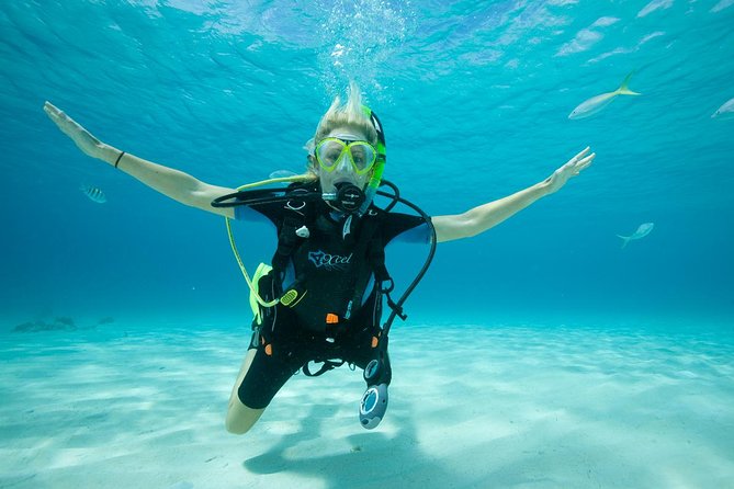 Beginners Scuba Diving Experience in Gran Canaria - Meeting Blue Water Diving near Amadores