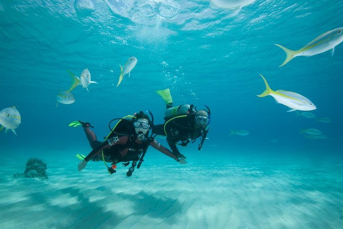 Beginners Scuba Diving Experience in Gran Canaria - The shallow-water lesson comes first