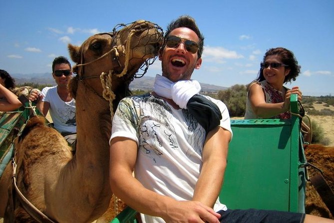 Camel Riding in Maspalomas Dunes - A 30-minute ride through the Maspalomas Dunes