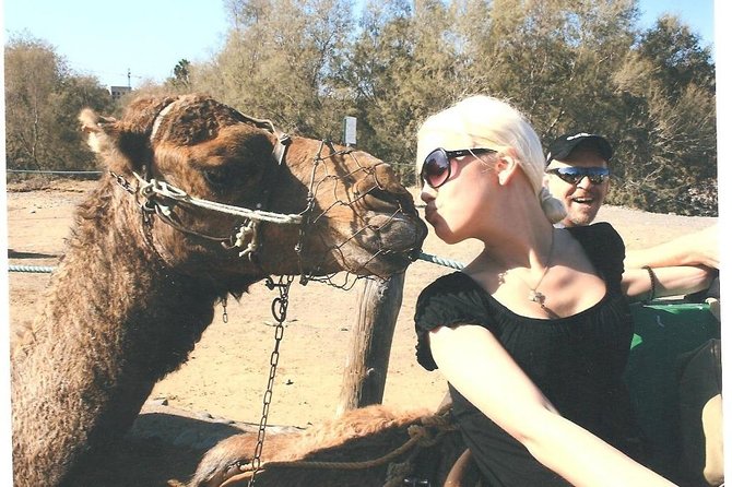 Camel riding in the dunes of Maspalomas - The ride through the dunes