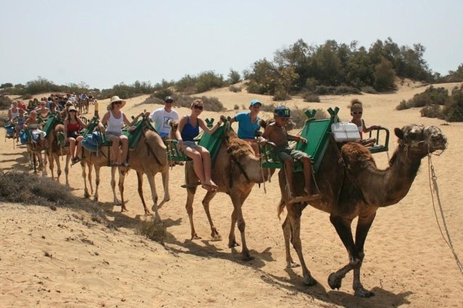 Camel Safari through the Dunes of Maspalomas - What the 30-minute route feels like