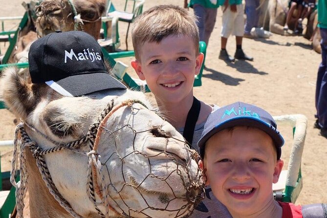 Camel Safari through the Dunes of Maspalomas - Animal welfare: what you should consider