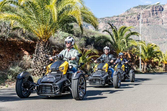 Can-am Ryker three wheels tricycle Mountain Tour (Maspalomas) - Meeting point, timing, and return