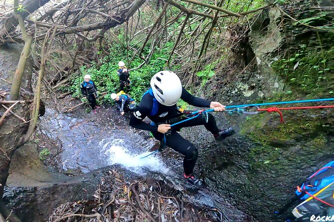 Canyoning in Gran Canaria: The Hidden Waterfalls and Magic Pools - Entering the rainforest canyon at Barranco de Los Cernicalos