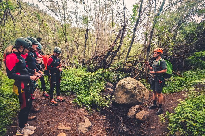 Canyoning with Waterfalls in the Rainforest - Small Groups ツ - What canyoning in Gran Canaria is really like