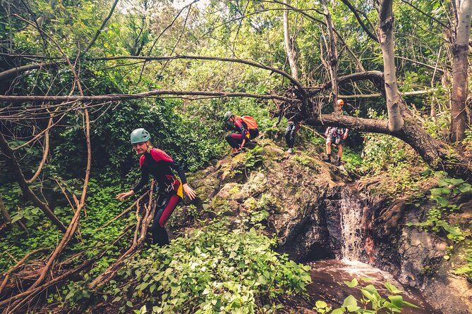 Canyoning with Waterfalls in the Rainforest - Small Groups ツ - The walk out is part of the price you pay