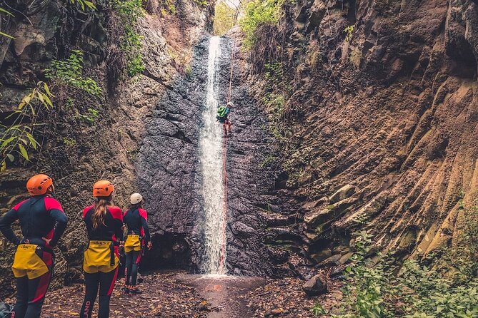 Canyoning with Waterfalls in the Rainforest - Small Groups ツ - The forest approach sets the tone