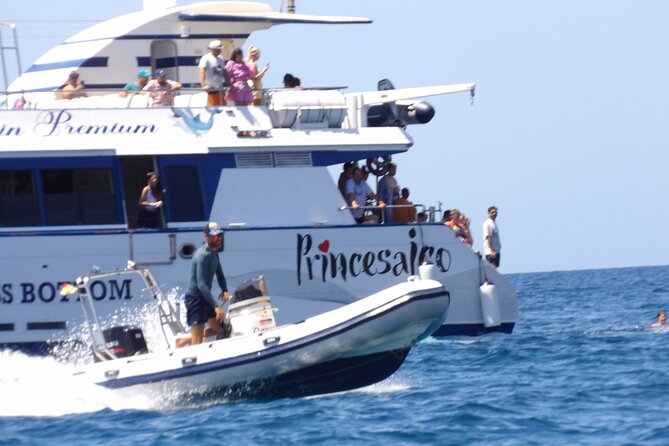 Catamaran Cruise from Puerto Rico (Full package) - The southern coast from Amadores to Mogán