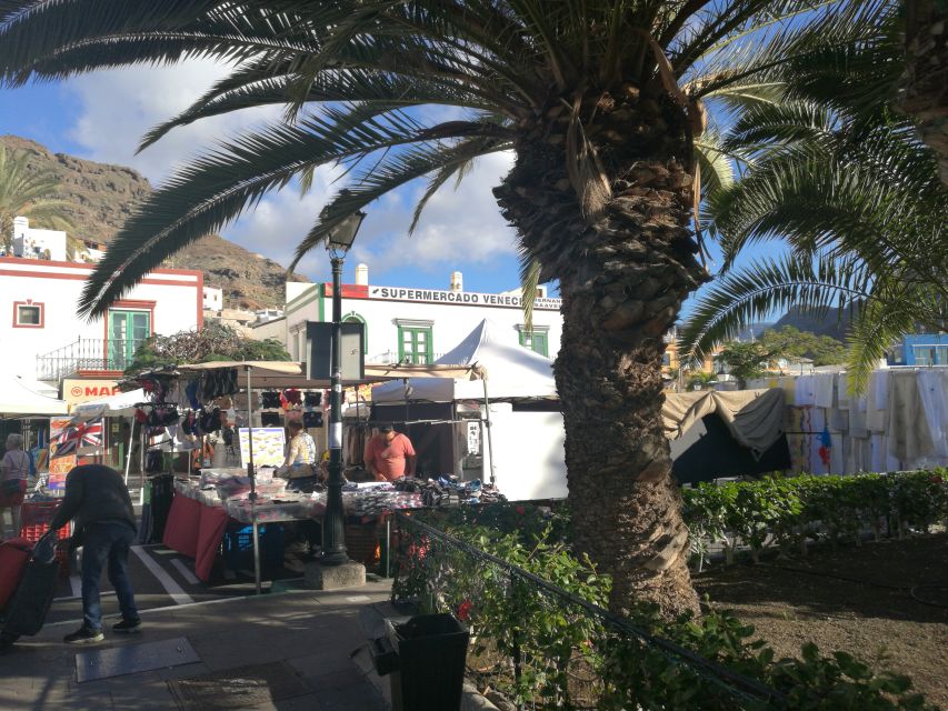 City Treasures Unveiled: 3.5-Hour Las Palmas Cab & Walking - Who should book this Las Palmas tour