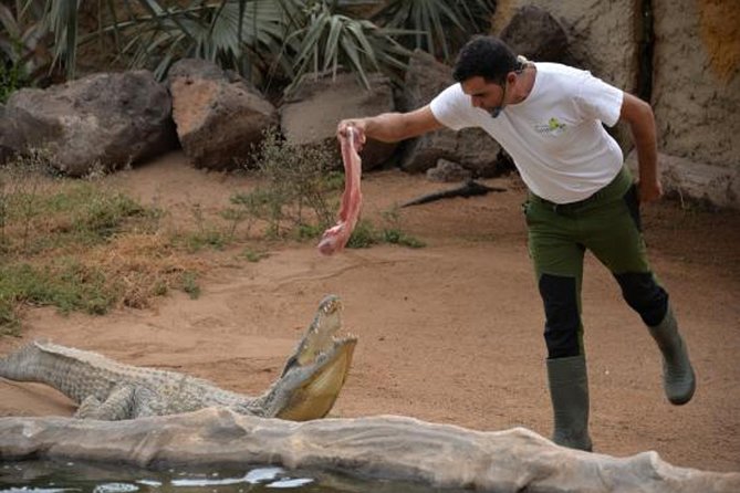 Cocodrilo Park Zoo Admission Ticket in Agüimes - A rescue center with a less polished edge