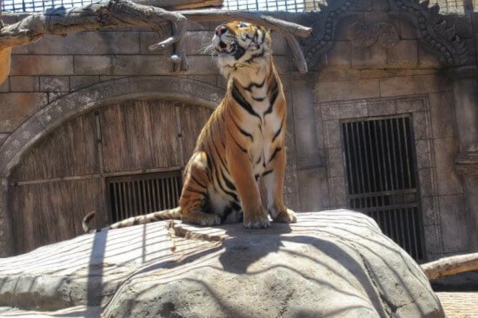Cocodrilo Park Zoo Admission Ticket in Agüimes - How long to spend at Cocodrilo Park