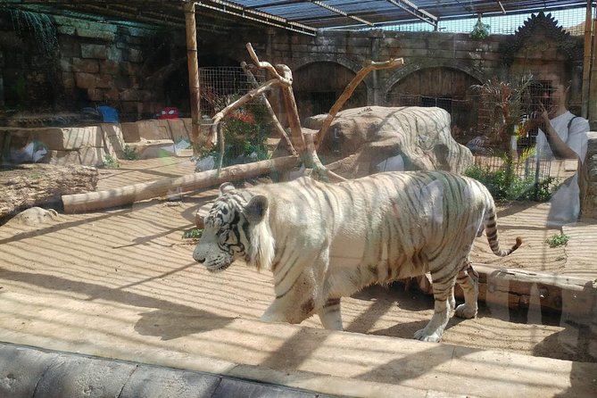 Cocodrilo Park Zoo Admission Ticket in Agüimes - Food, drinks, and the monkey snack bar