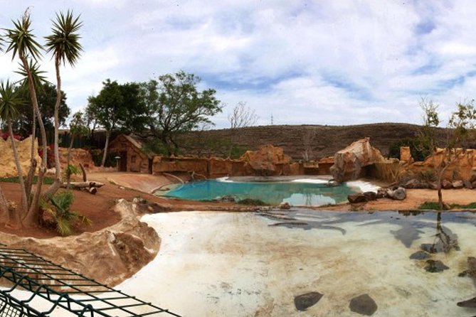Cocodrilo Park Zoo Admission Ticket in Agüimes - Getting there from Gran Canaria’s resort areas