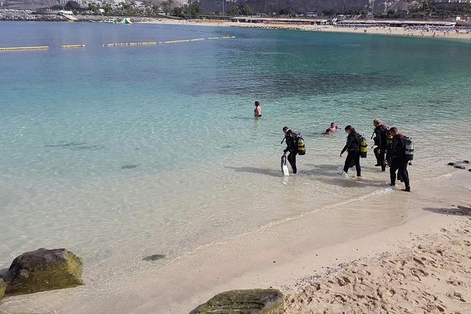 Discover Scuba diving in Gran Canaria with Hotel Pick-up - Learning the basics before entering Amadores Bay