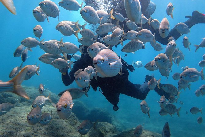 Discover Scuba Diving in Puerto de Mogan - A practical first step into scuba