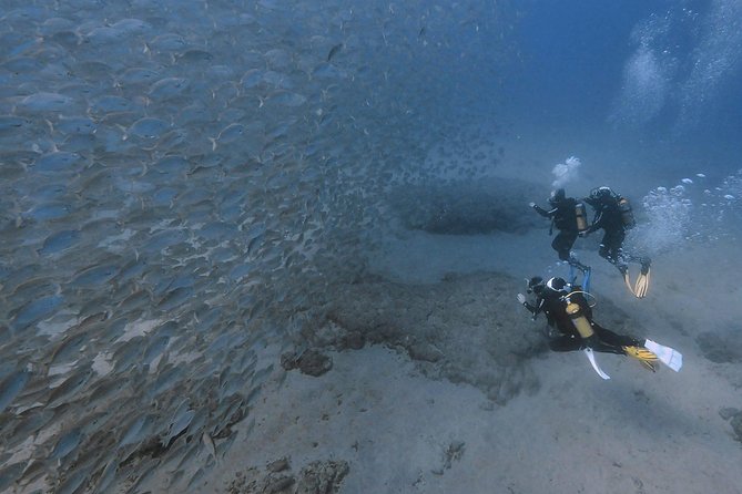 Discover Scuba Diving in Puerto de Mogan - Medical rules and flying plans