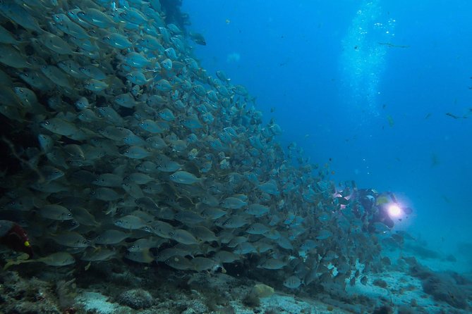 Discover Scuba Diving in Puerto de Mogan - Entering open water in Puerto de Mogán