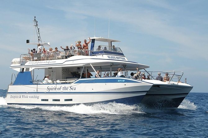Dolphin and Whales watching cruise from Puerto Rico de Gran Canaria - Setting out from Puerto Rico at 10:30 or 1:30
