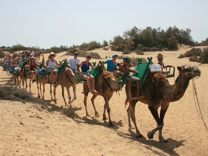 E-Bike City Tour with Camel Safari on Maspalomas Sand Dunes - Seeing the dunes from a camel