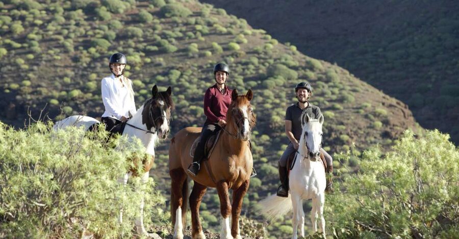 El Salobre: Horse Riding Adventure with Transfer Options - Key points before you book