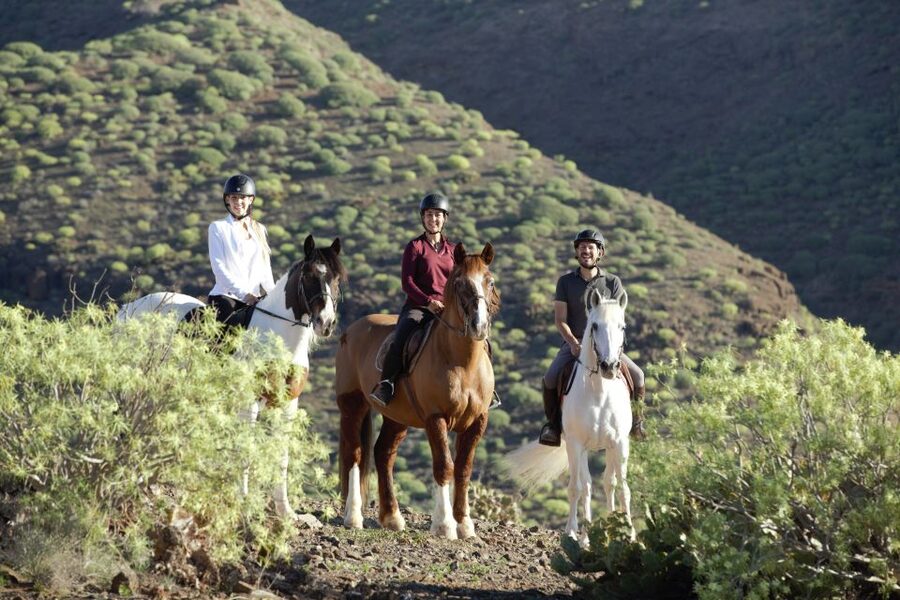 El Salobre: Horse Riding Adventure with Transfer Options - The 1-hour and 2-hour choices